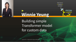 Building simple Transformer model for custom data